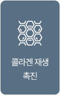 콜라겐 재생 촉진