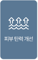 피부 탄력 개선