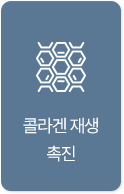 콜라겐 재생 촉진