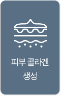 피부 콜라겐 생성